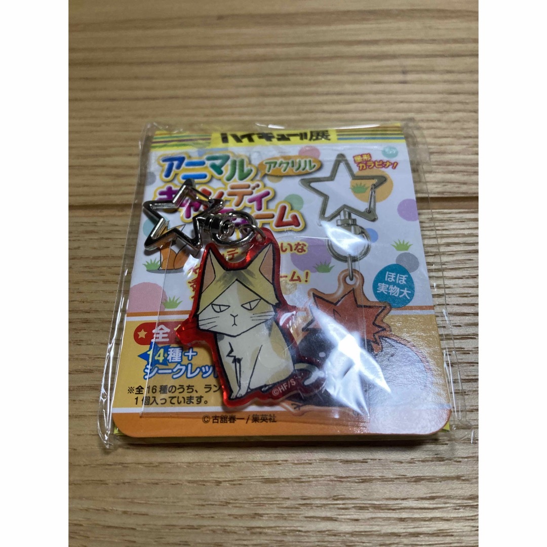 ハイキュー 孤爪研磨 チャーム エンタメ/ホビーのおもちゃ/ぬいぐるみ(キャラクターグッズ)の商品写真