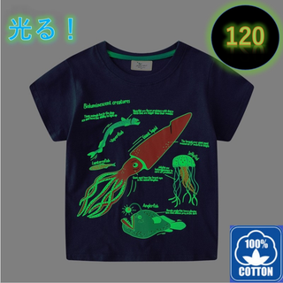 光る！蓄光Tシャツ 新品　ネイビー　120㎝　深海生物 イカ 半袖  コットン(Tシャツ/カットソー)
