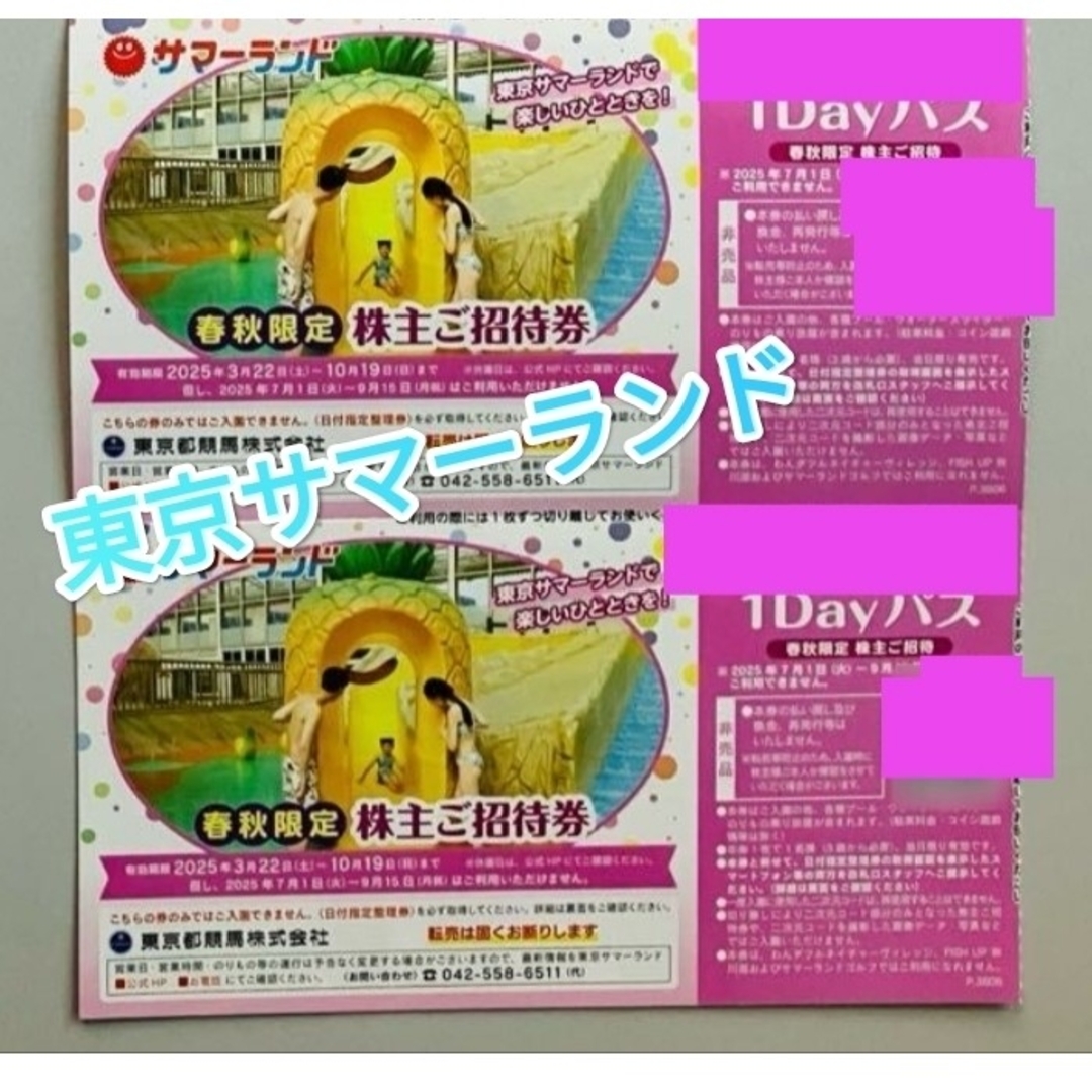 東京サマーランド 1Dayパス 春秋限定株主ご招待券 2枚 チケットの施設利用券(遊園地/テーマパーク)の商品写真