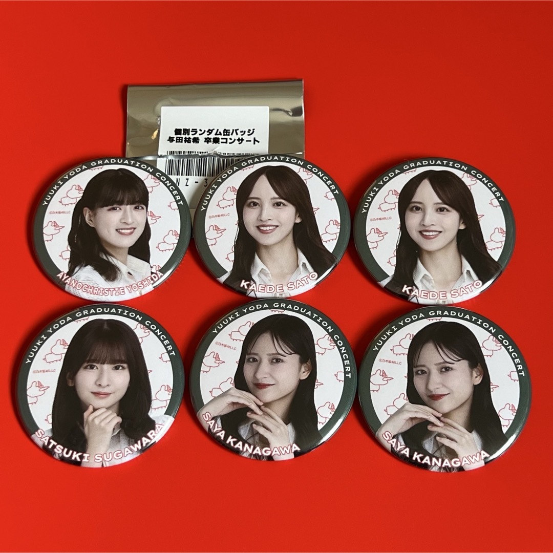 乃木坂46(ノギザカフォーティーシックス)の【即日匿名】菅原 金川 佐藤 吉田 ランダム 缶バッジ 与田 卒コン 乃木坂46 エンタメ/ホビーのタレントグッズ(アイドルグッズ)の商品写真