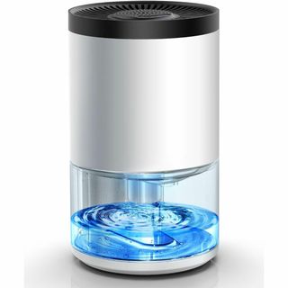 除湿機 除湿器 小型 ペルチェ式 強力除湿 1000ml 7色ライト付き(加湿器/除湿機)