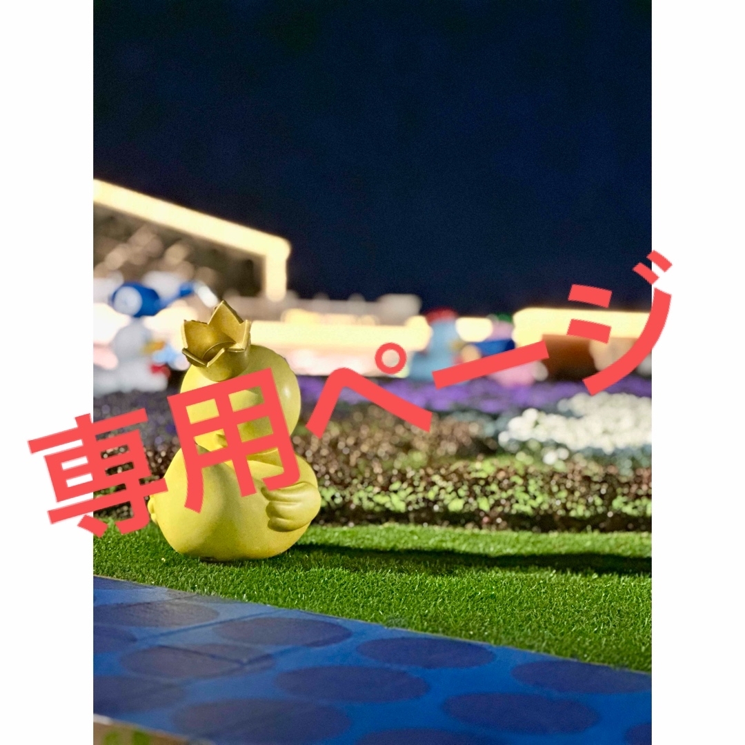 みく様専用ページ レディースのレッグウェア(ソックス)の商品写真