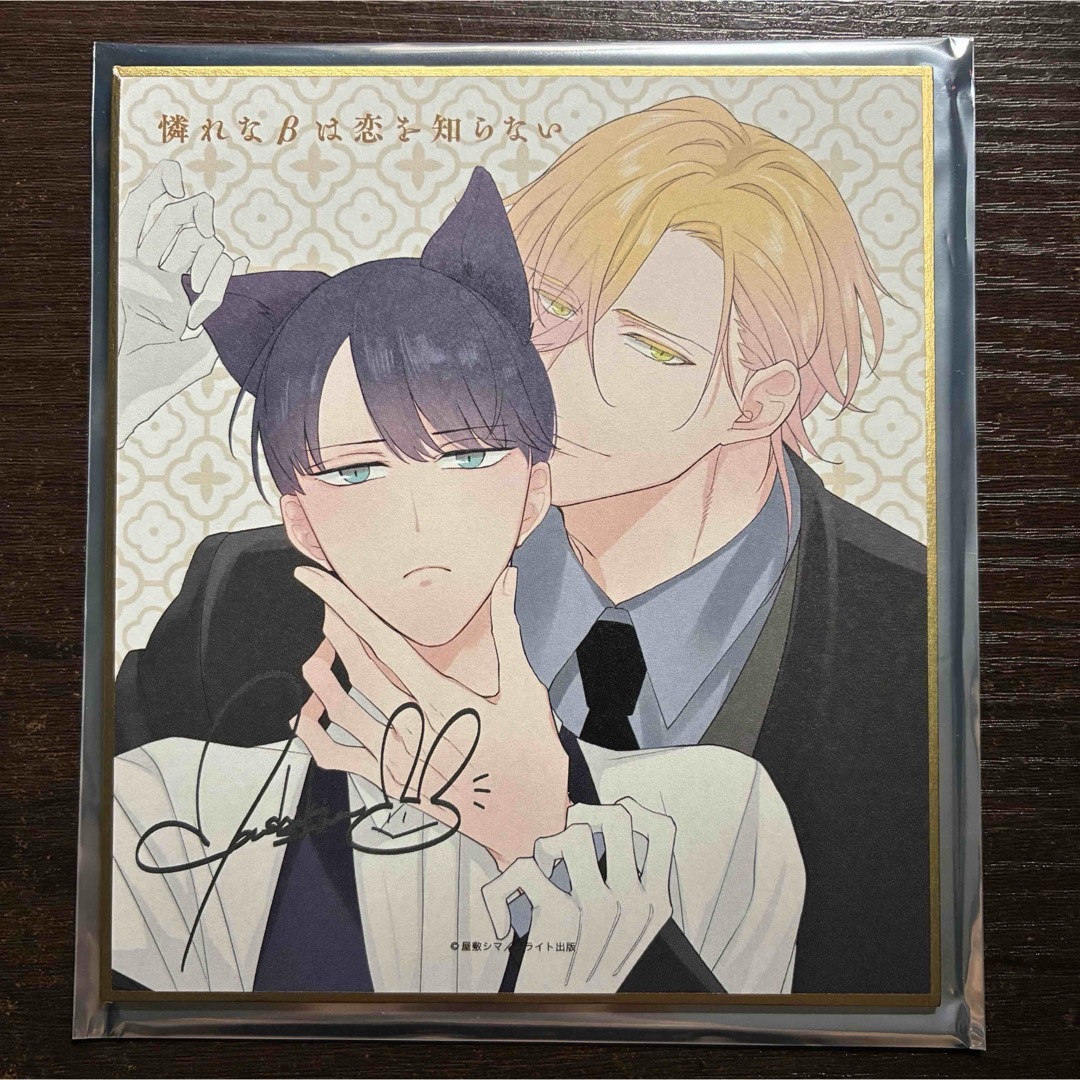 憐れなβは恋を知らない 色紙 カラオケの鉄人 カラ鉄 屋敷シマ エンタメ/ホビーのおもちゃ/ぬいぐるみ(キャラクターグッズ)の商品写真