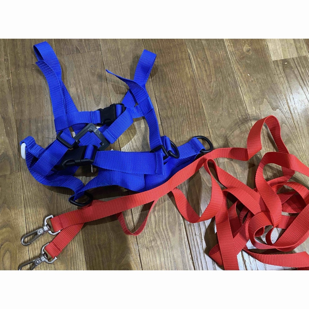 スキー ハーネス 子ども用 スポーツ/アウトドアのスキー(その他)の商品写真