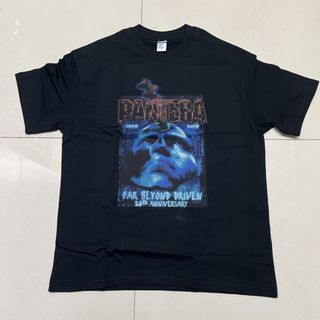 限定セールＬPantera Far Beyond Driven パンテラ Tシャ(Tシャツ/カットソー(半袖/袖なし))