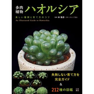 多肉植物ハオルシア 美しい種類と育て方のコツ  /日東書院本社/林雅彦（単行本（ソフトカバー））(住まい/暮らし/子育て)