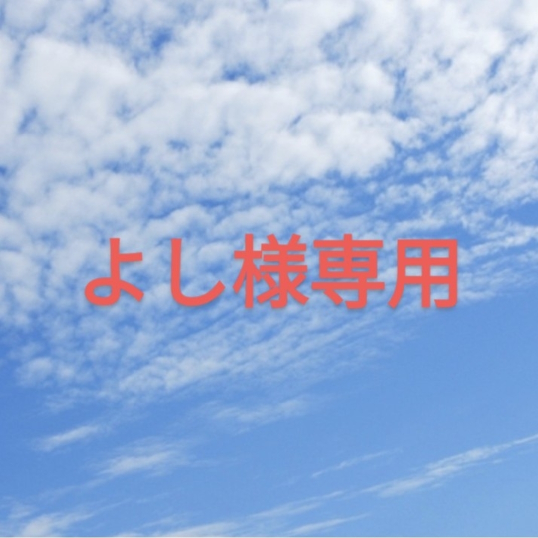 BANDAI(バンダイ)のよし様専用 エンタメ/ホビーのフィギュア(アニメ/ゲーム)の商品写真