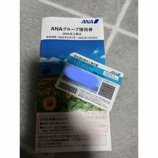 ANAグループ優待券　(その他)