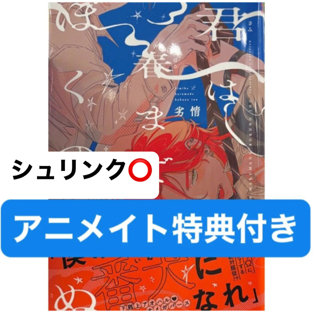 君は春までぼくのいぬ アニメイト特典4Pリーフレット付き エンタメ/ホビーの漫画(ボーイズラブ(BL))の商品写真