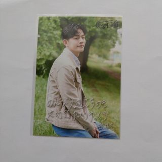 SHOW-WA　井筒雄太　僕らの口笛生写真(アイドルグッズ)