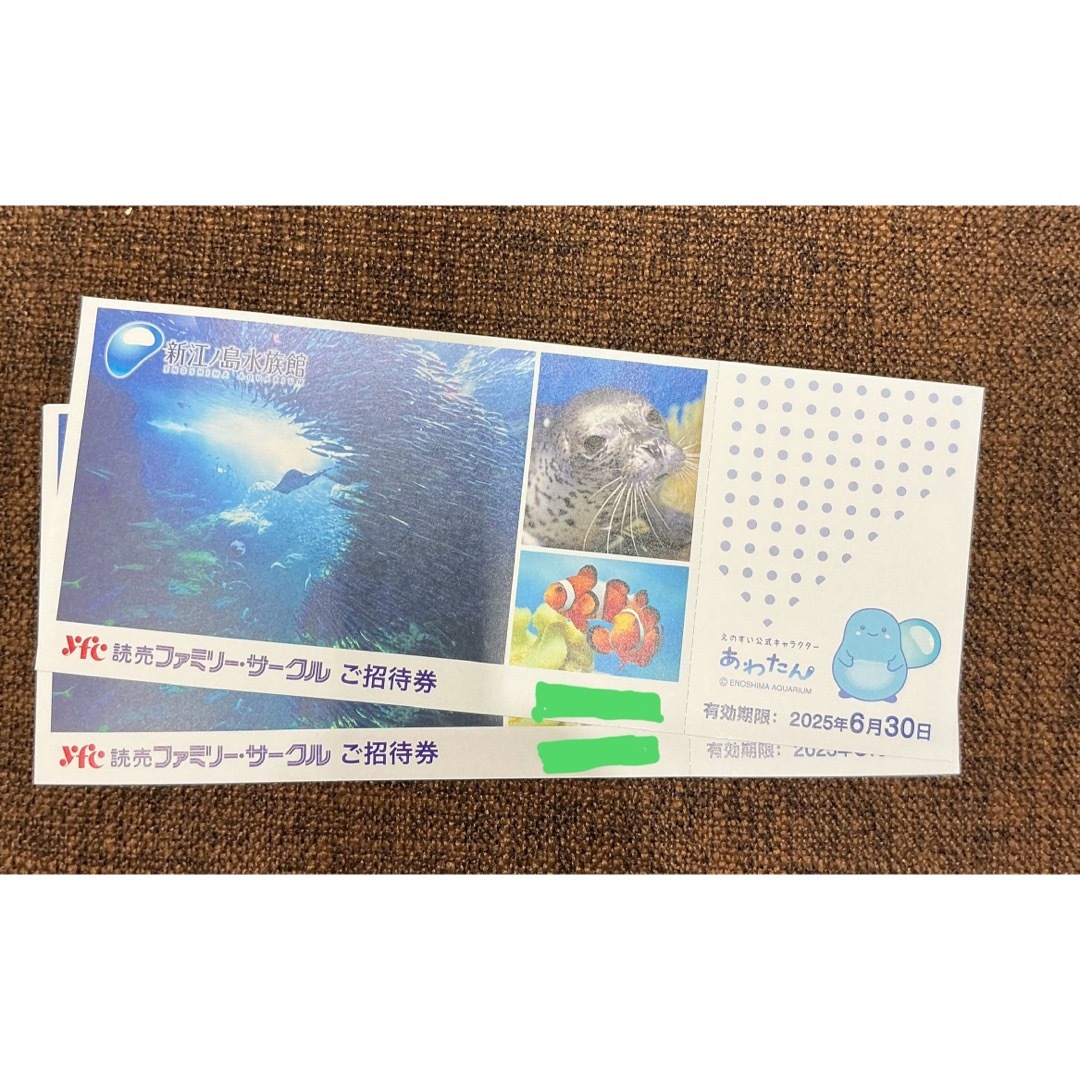 新江ノ島水族館 入館券 2枚セット チケットの施設利用券(水族館)の商品写真