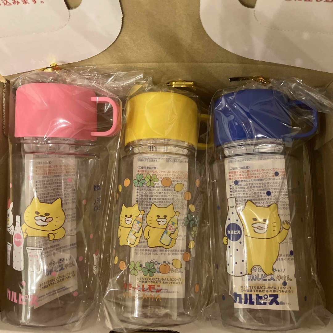ノラネコぐんだん コップ付ボトル カルピス エンタメ/ホビーのおもちゃ/ぬいぐるみ(キャラクターグッズ)の商品写真