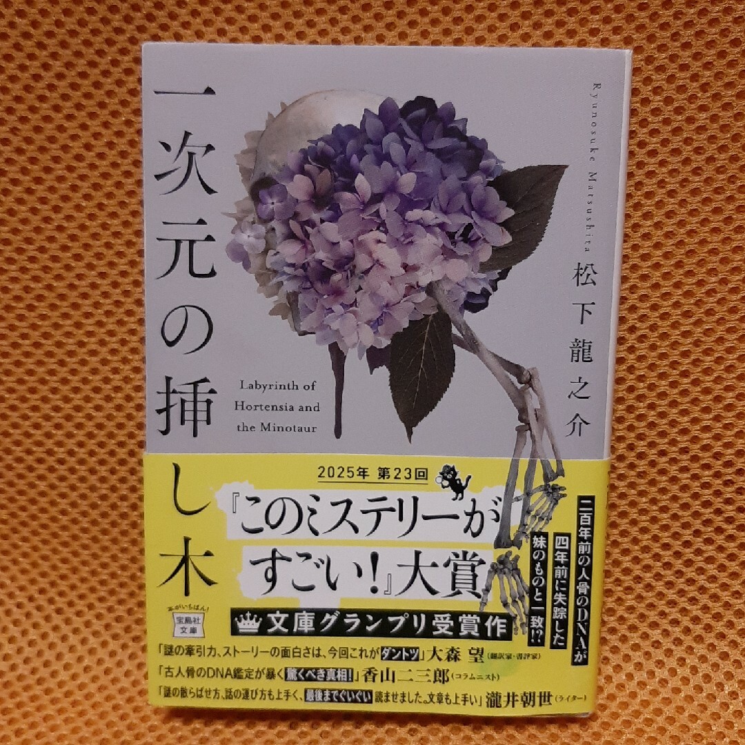一次元の挿し木 エンタメ/ホビーの本(その他)の商品写真