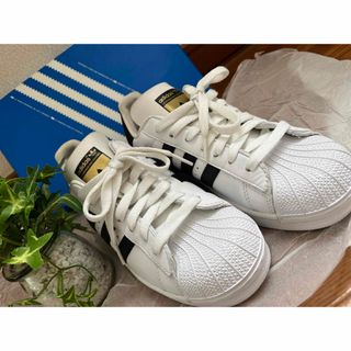 DIESEL - GEOX ハイカットレザースニーカーシルバーグリッター DIESEL - GEOX ハイカットレザースニーカーシルバーグリッター