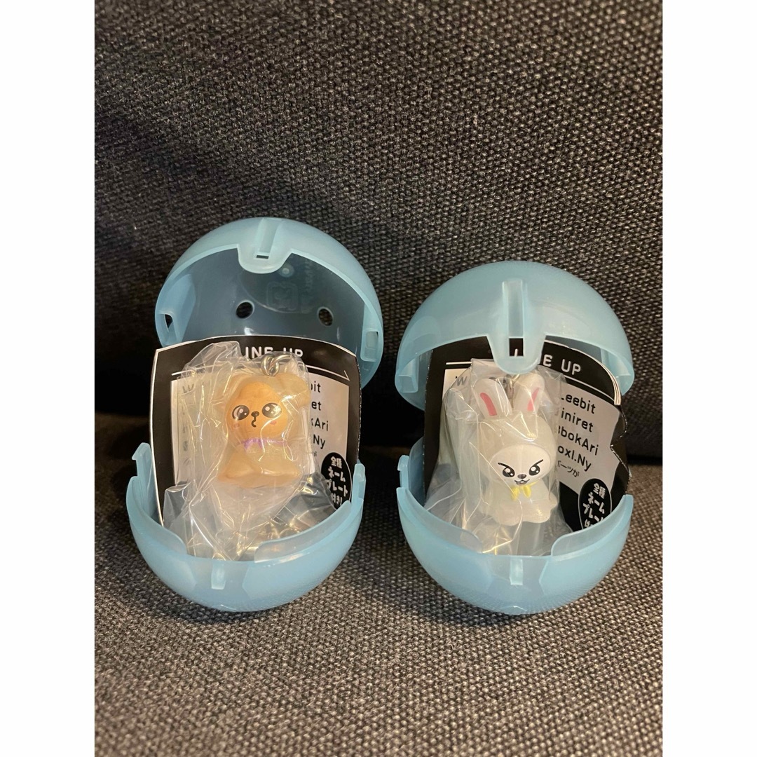 Stray Kids(ストレイキッズ)のStrayKids SKZOO めじるしアクセサリー リービット/パピーム エンタメ/ホビーのタレントグッズ(アイドルグッズ)の商品写真