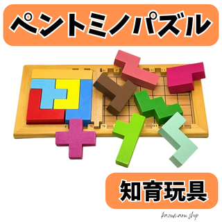 ペントミノパズル 木製 知育玩具 脳トレ テトリス 型はめ モンテッソーリ⑩(知育玩具)