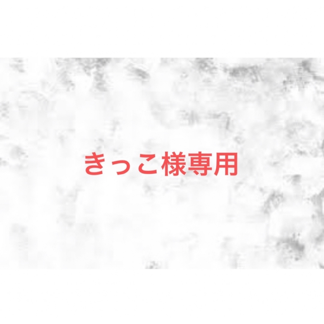 きっこ様専用 その他のその他(その他)の商品写真