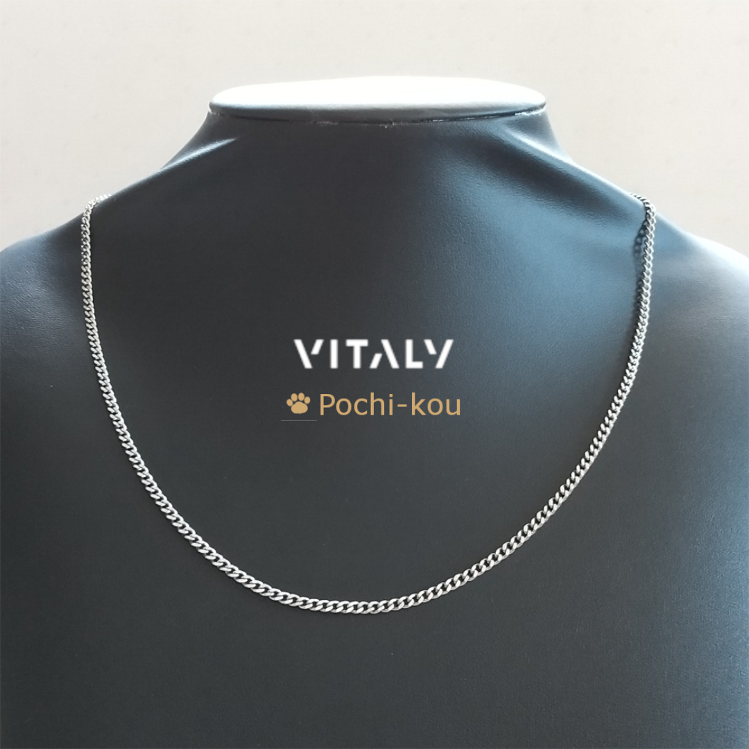 日本未入荷 Vitaly Cuban チェーン 55cm ネックレス 銀色