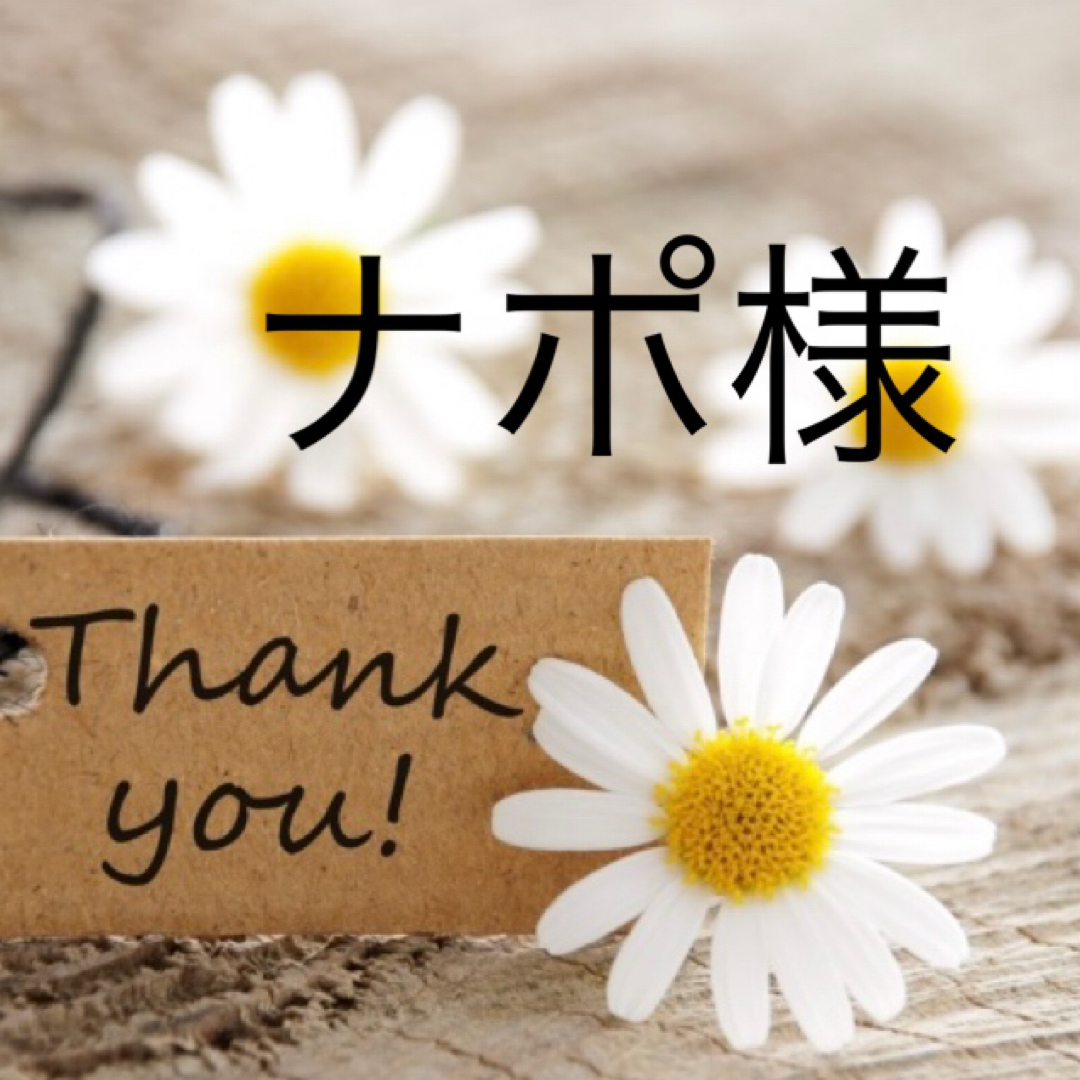 ナポ様 その他のその他(その他)の商品写真