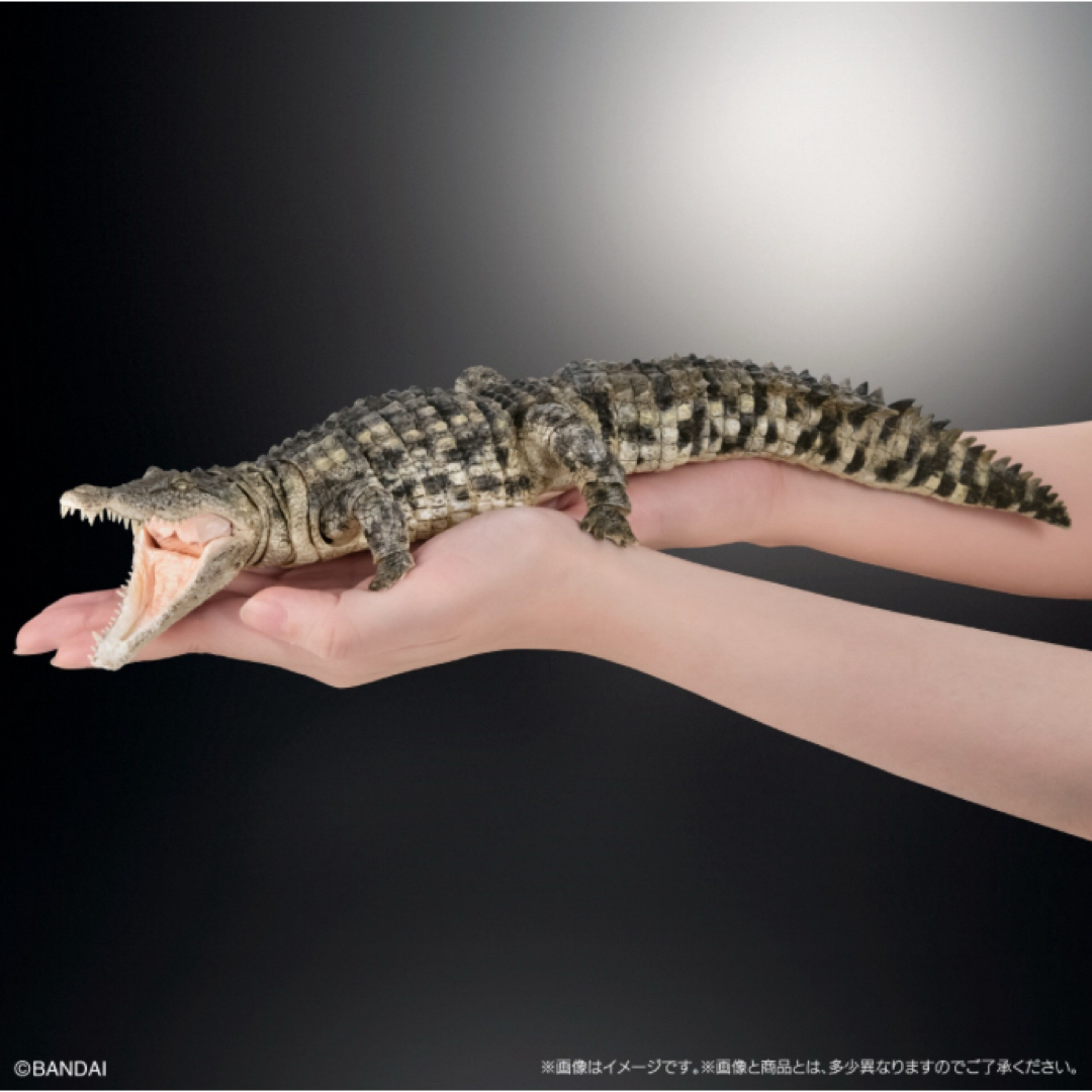 いきもの大図鑑アルティメット ナイルワニ（ライトカラー）
