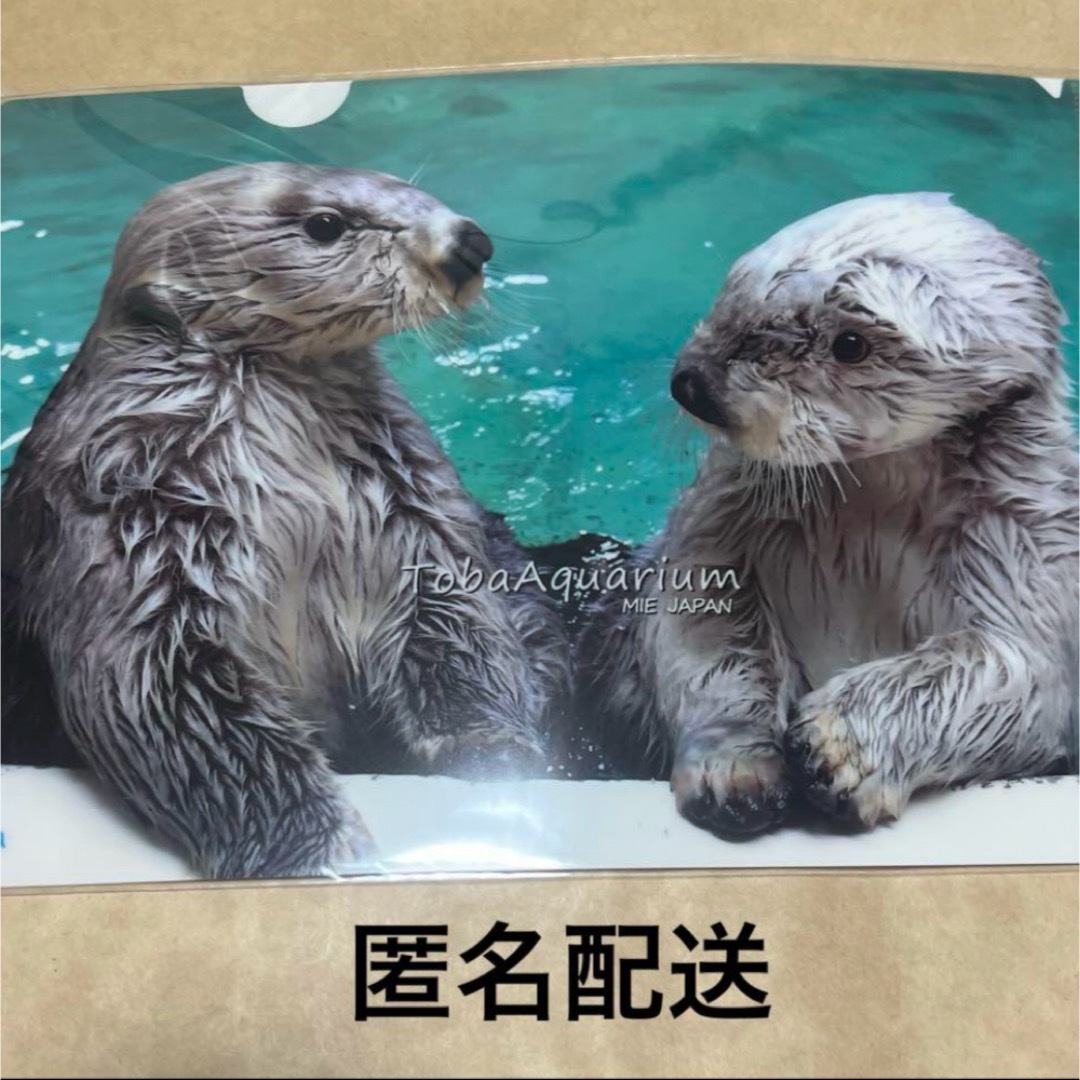 鳥羽水族館 ラッコ ファイル メイ&キラ エンタメ/ホビーのおもちゃ/ぬいぐるみ(キャラクターグッズ)の商品写真