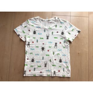 ニシマツヤ(西松屋)の昆虫 Tシャツ キッズ 130(Tシャツ/カットソー)