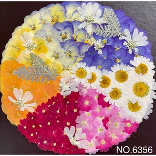 カラフルな押し花アソート☆素材花材