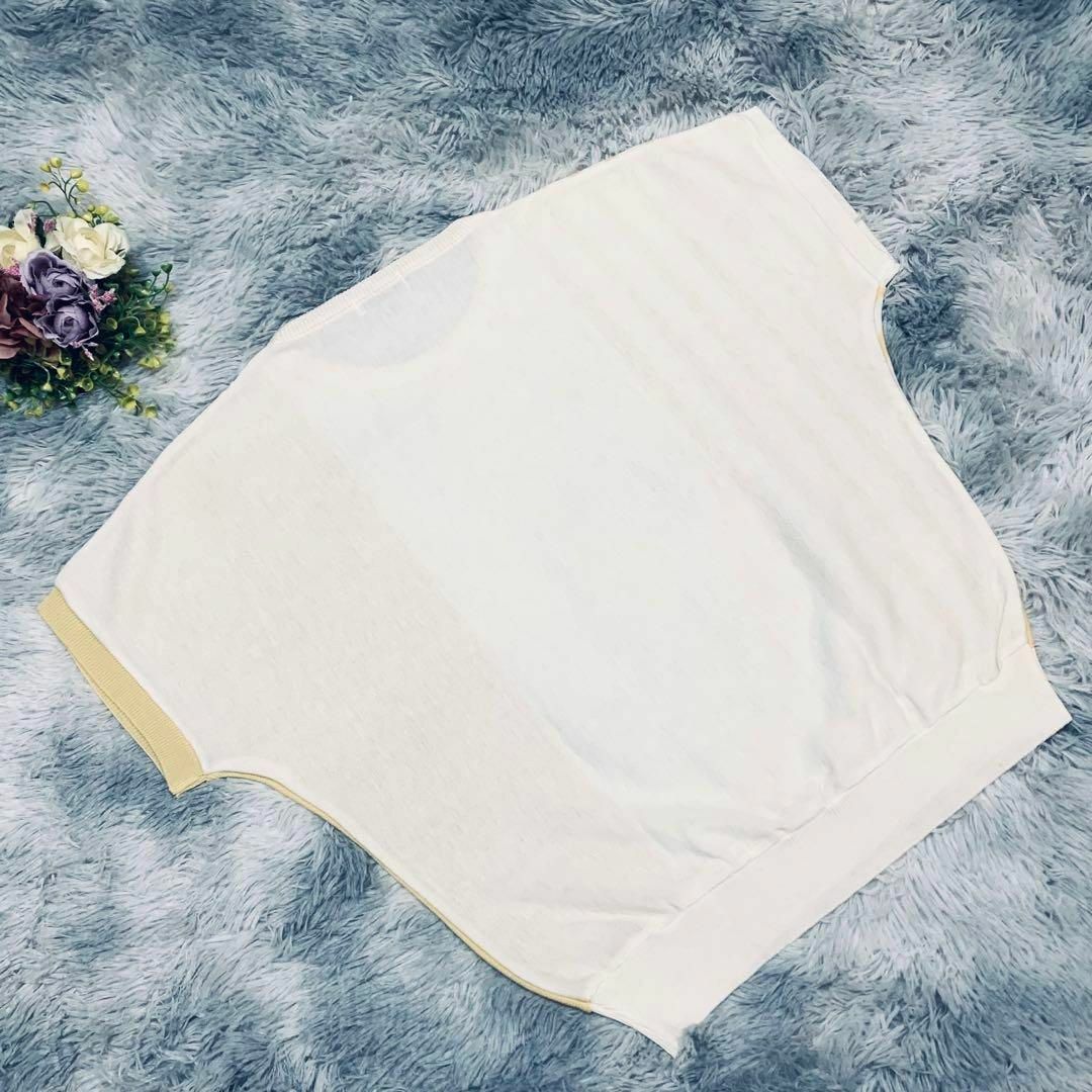 NAIGAI(ナイガイ)の美品✨ NAIGAI ナイガイ 半袖 ストライプ サマーニット ツートン 春夏 レディースのトップス(ニット/セーター)の商品写真