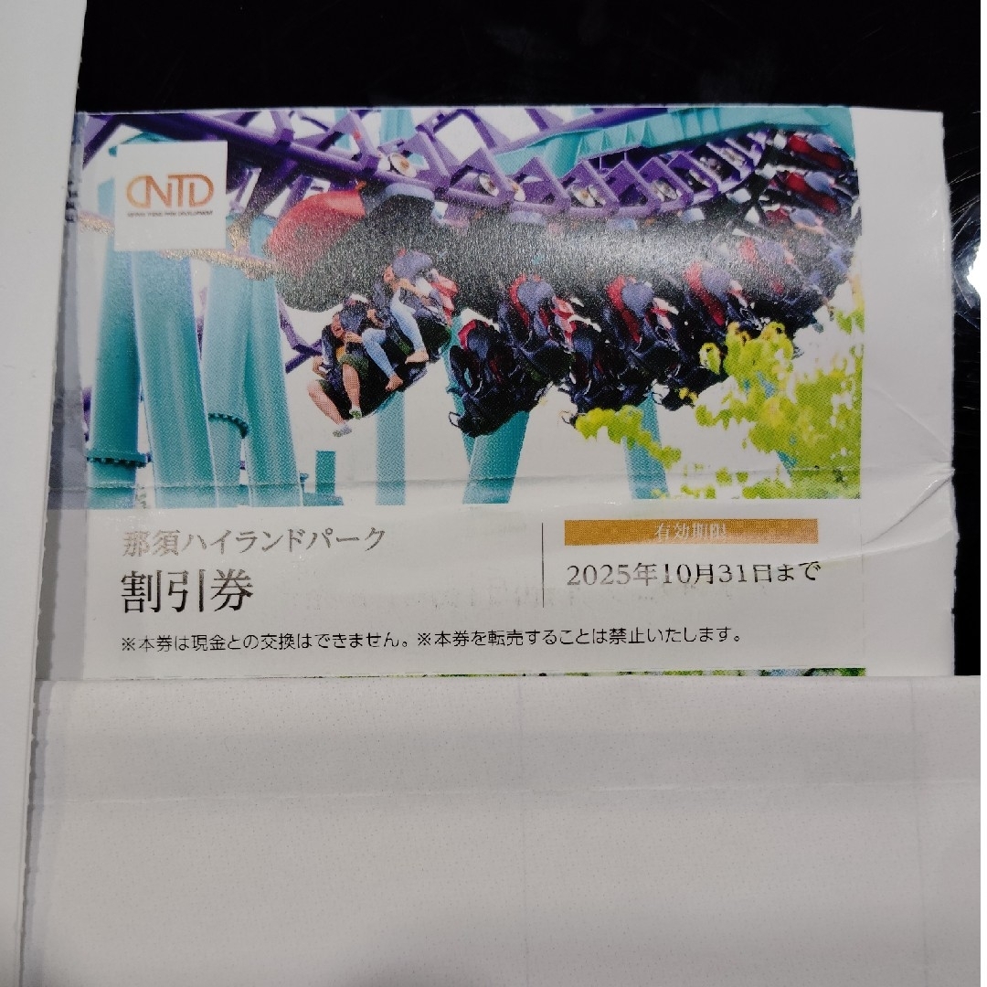 那須ハイランドパーク 割引券 日本駐車場開発 株主優待 チケットの施設利用券(遊園地/テーマパーク)の商品写真