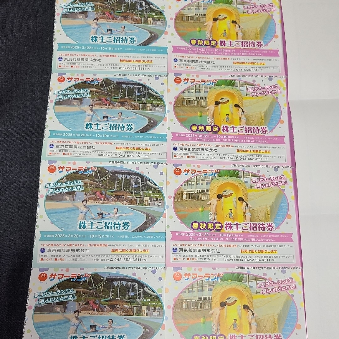 サマーランド 株主ご招待券 1Dayパス チケットの優待券/割引券(その他)の商品写真