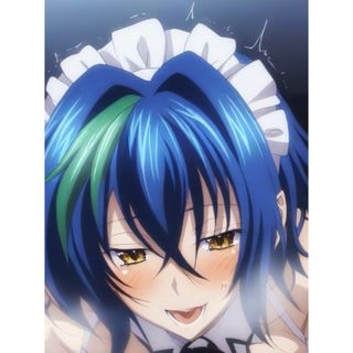 ハイスクールDxD ゼノヴィア ① ブロマイド 写真 L判 同人 アニメ (その他)