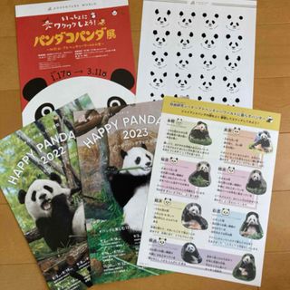 アドベンチャーワールド　チラシ　楓浜　結浜　7頭　パンダコパンダ　30th(印刷物)