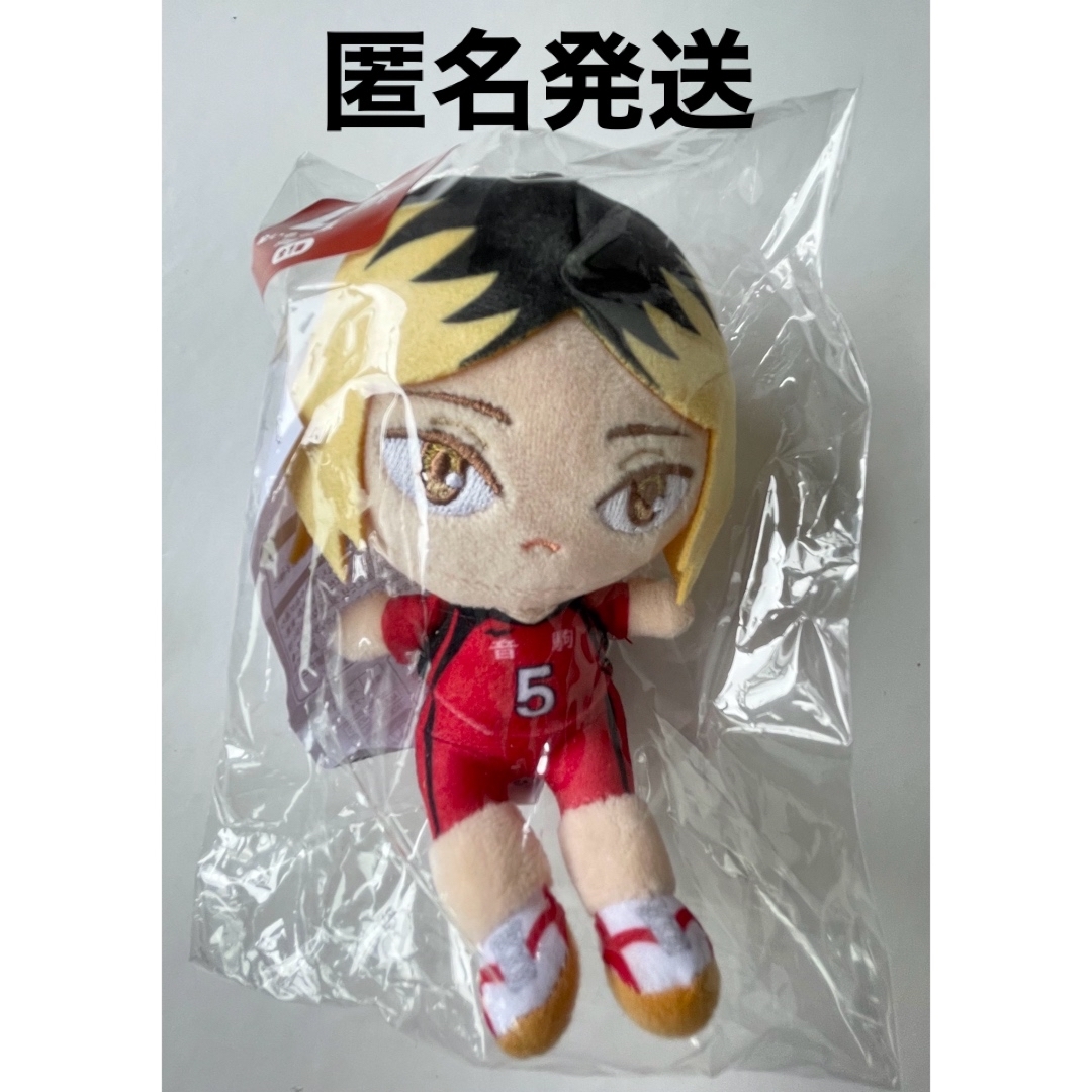 ハイキュー‼︎ ぬいもっち フリューくじ D賞 孤爪研磨 エンタメ/ホビーのおもちゃ/ぬいぐるみ(ぬいぐるみ)の商品写真