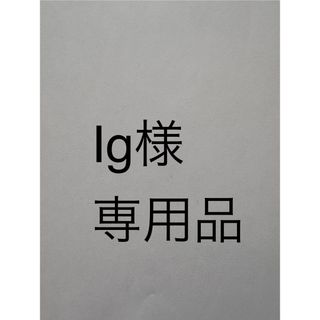 Ig様専用品(PC周辺機器)