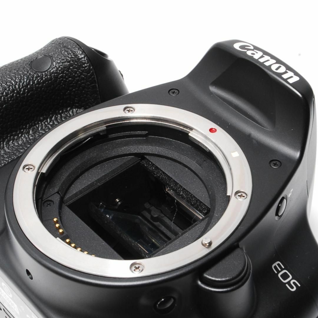 トリプルレンズ♡ショット数少なめ3300枚♡Canon キャノン Kiss X2 トリプルレンズ♡ショット数少なめ3300枚♡Canon キャノン Kiss X2