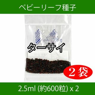 ベビーリーフ種子 B-26 ターサイ 2.5ml 約600粒 x 2袋(野菜)
