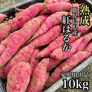 【本場】紅はるか 訳あり 10kg さつまいも シルクスイート好きに37(野菜)