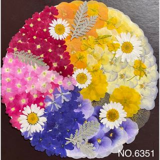 カラフルな押し花アソート☆素材花材