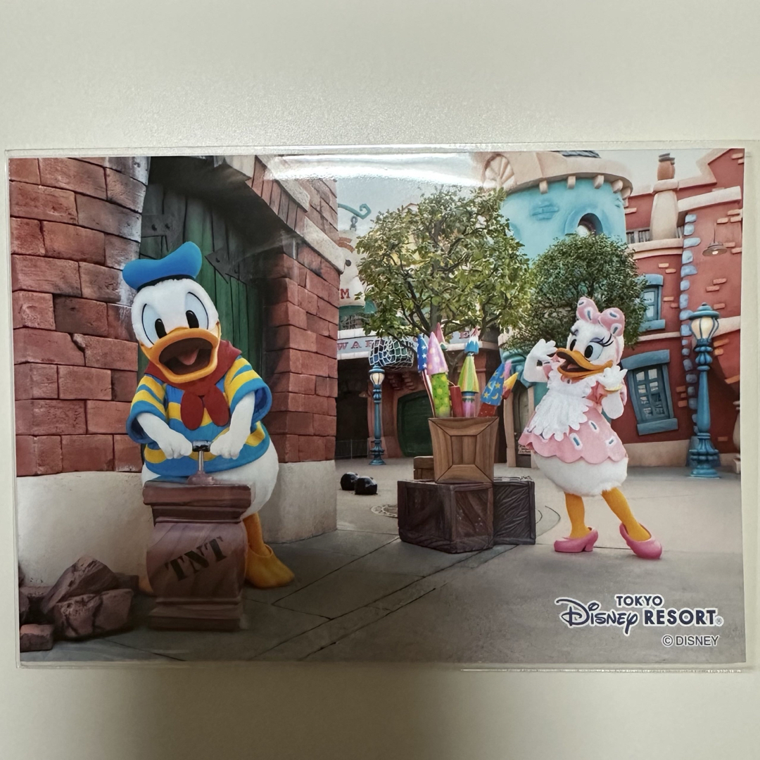 Disney(ディズニー)のディズニースペシャルフォト ドナルド デイジー エンタメ/ホビーのおもちゃ/ぬいぐるみ(キャラクターグッズ)の商品写真