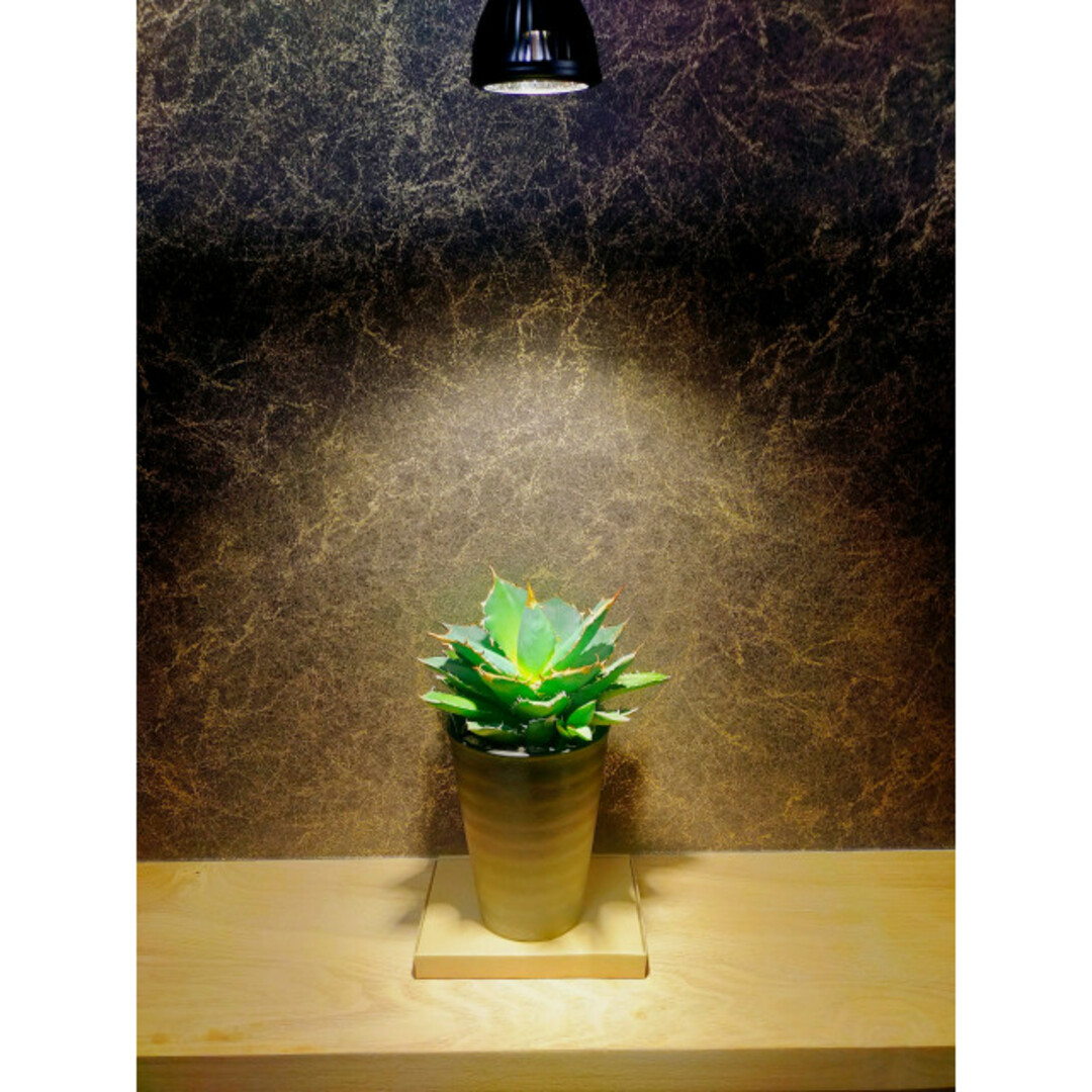 植物育成ライト 10W 4000K 4個 黒色 太陽光 フルスペクトルLEDの 植物育成ライト 10W 4000K 4個 黒色 太陽光 フルスペクトルLEDの