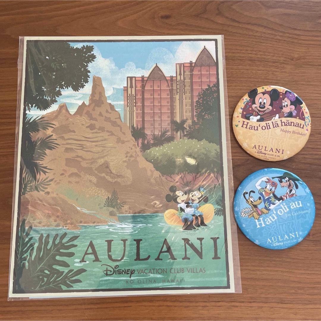 Disney(ディズニー)の早い者勝ち!ディズニーアウラニ アート 絵画 エンタメ/ホビーのおもちゃ/ぬいぐるみ(キャラクターグッズ)の商品写真
