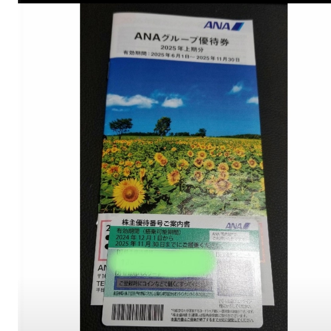 ANA(全日本空輸)(エーエヌエー(ゼンニッポンクウユ))のANA 株主優待券1枚セット番号通知不可 チケットの乗車券/交通券(航空券)の商品写真