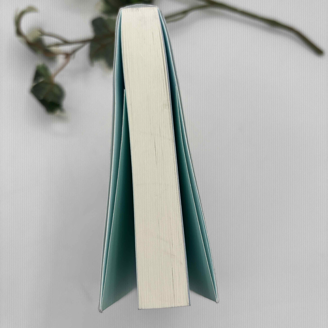 集英社(シュウエイシャ)の消費される階級 エンタメ/ホビーの本(文学/小説)の商品写真