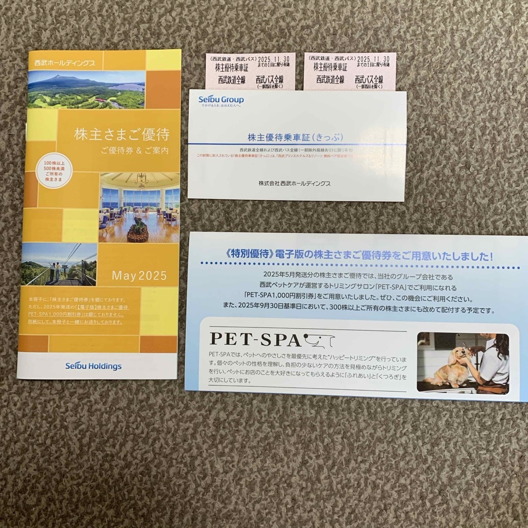 【匿名配送】西武ホールディングス100株保有対象株主優待冊子+株主優待乗車券2枚 チケットの乗車券/交通券(鉄道乗車券)の商品写真