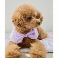 【ラベンダー系（53）】【DOG】ひんやりスタイ