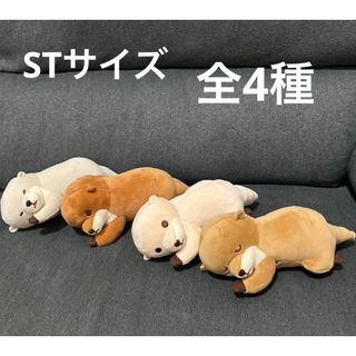 ★新品未使用品★くったりカワウソ　もちふわごろりん　ぬいぐるみ(ぬいぐるみ)