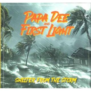 欧12” Papa Dee, First Light Shelter From The Storm; Dub From The Storm / 	Shelt BVR121 Black Viking EU /00218(その他)