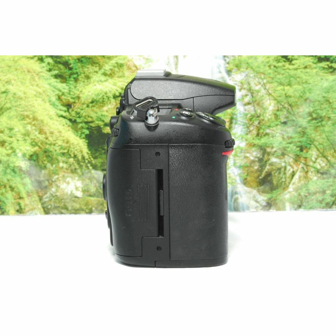 ✨シャッター回数約7300回✨Nikon D7000✨カメラケース付き✨美品