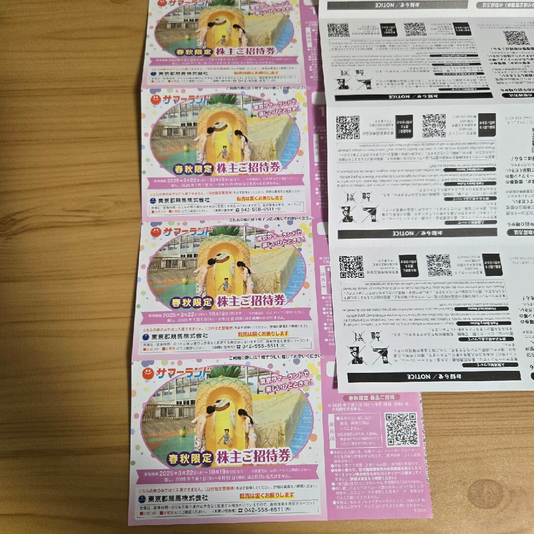サマーランド ご招待券 4枚(春秋限定) チケットの施設利用券(プール)の商品写真