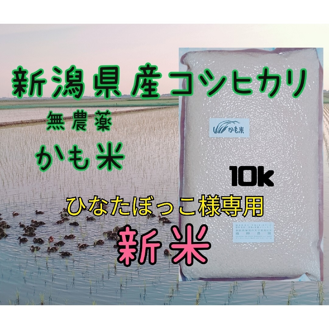 無農薬米新潟県産コシヒカリ10k 食品/飲料/酒の食品(米/穀物)の商品写真
